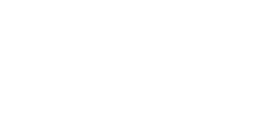 AHEG Skills logo